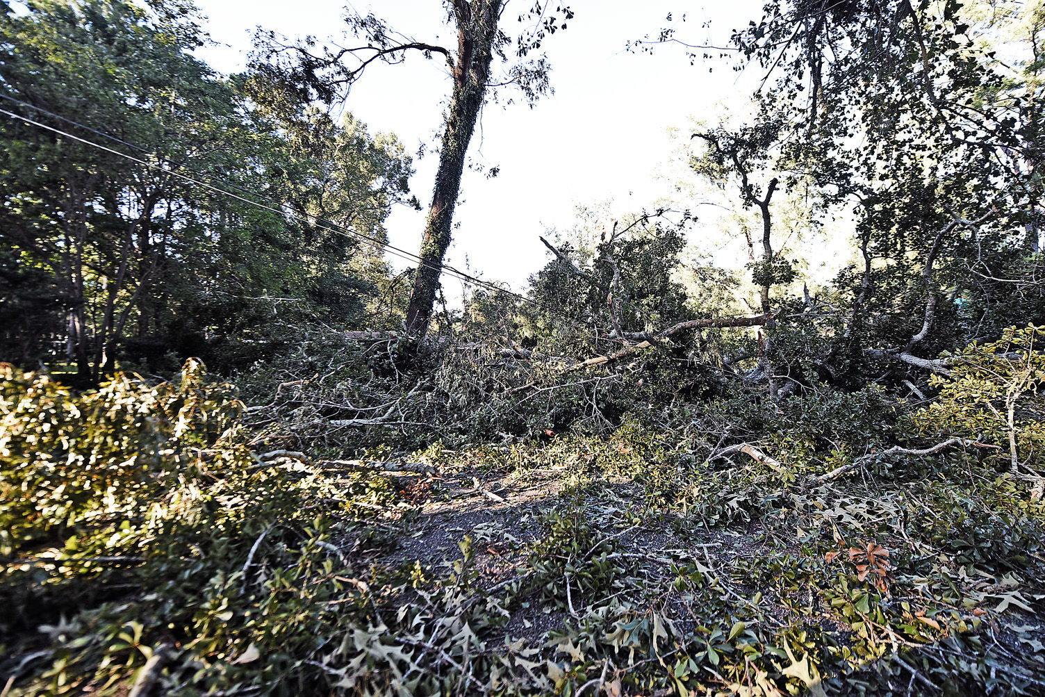 Hurricane Michael aftermath